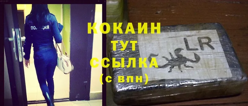 COCAIN Fish Scale  Великий Устюг 